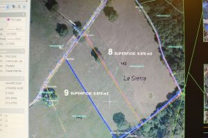 Proyecto Segregación y agrupación